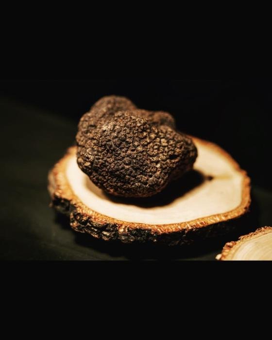 foto. Bottiglieria 1881